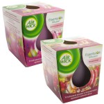 Свеча ароматизированная, AIRWICK (Эрвик) 105 г Лесные ягоды в стакане